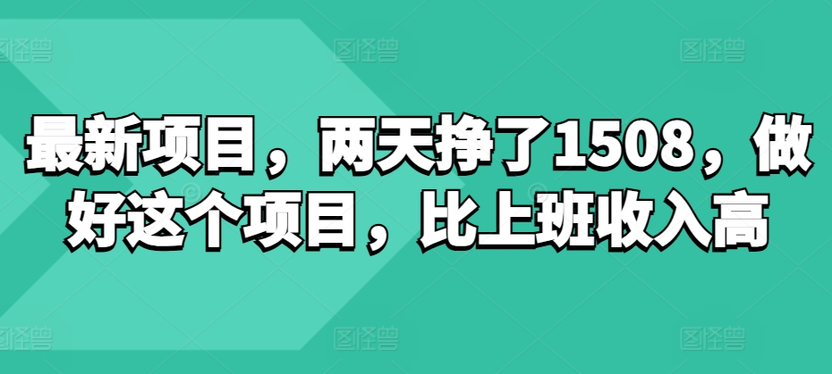 项目合伙人项目，打造个人IP，做私域月入5W，小白勿扰