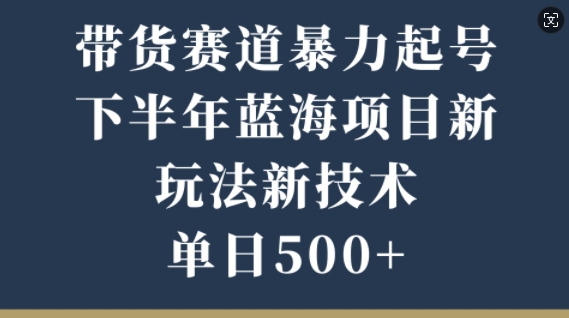 最新赛道网络搭子引流变现，操作简单上手快，一天300+，小白专属