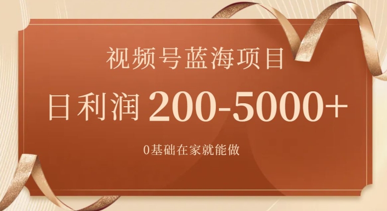 外边收费699视频号项目，最新玩法，简单好操作，一人可做，日四位数|云雀资源分享