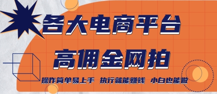 各大电商平台高佣金网拍，操作简单易上手，执行就能赚钱，小白也能做|云雀资源分享