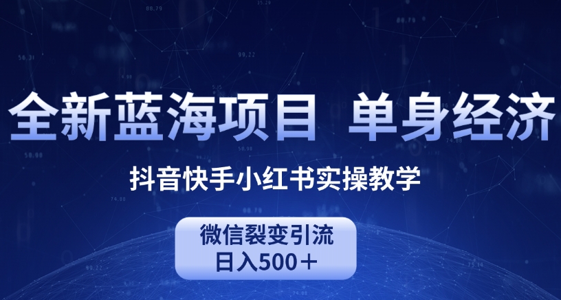 全新蓝海项目，单身经济抖音快手小红书实操教学，微信裂变引流日入500＋|云雀资源分享