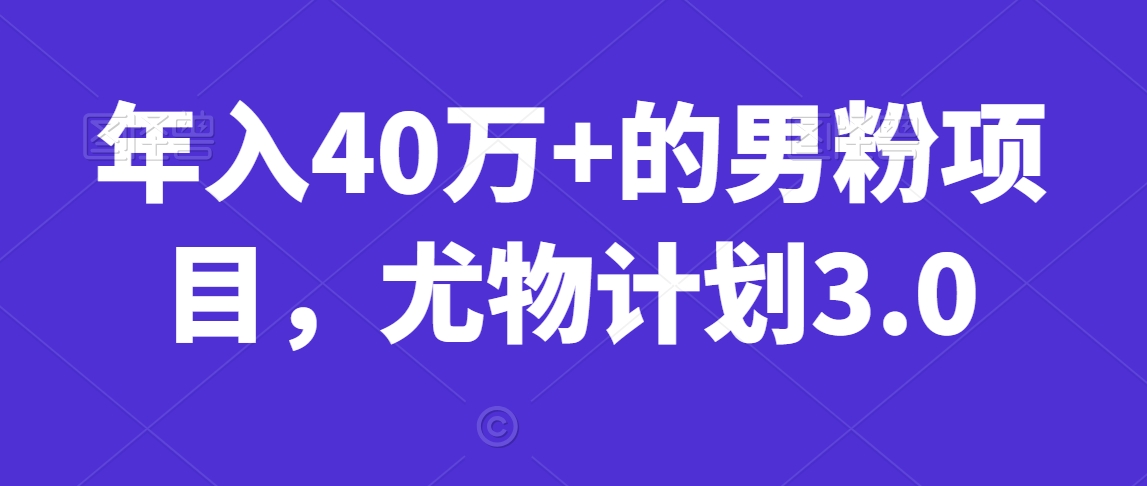 年入40万+的男粉项目，尤物计划3.0|云雀资源分享