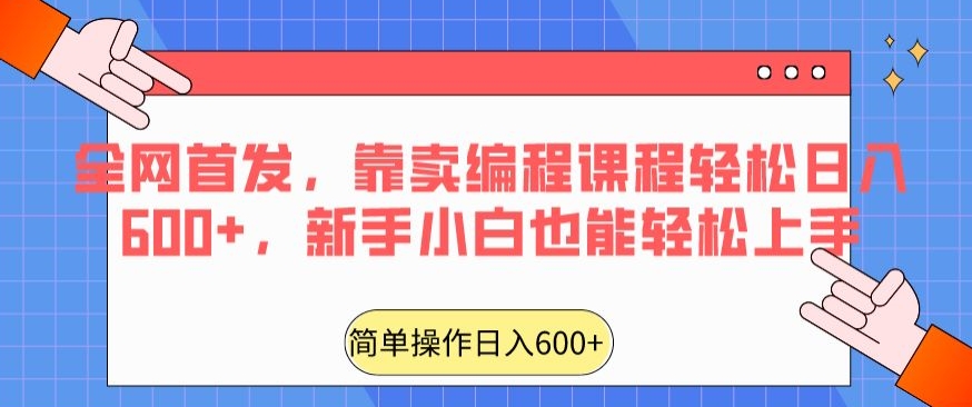 全网首发，靠卖编程课程轻松日入600+，新手小白也能轻松上手|云雀资源分享