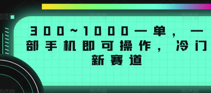 300~1000一单，一部手机即可操作，冷门新赛道|云雀资源分享