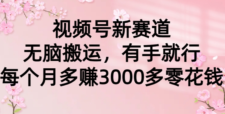 视频号新赛道，无脑搬运，有手就行，每个月多赚3000多零花钱|云雀资源分享