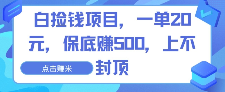 白捡钱项目，一单20元，保底赚500，上不封顶|云雀资源分享