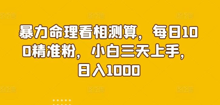 暴力命理看相测算，每日100精准粉，小白三天上手，日入1000|云雀资源分享