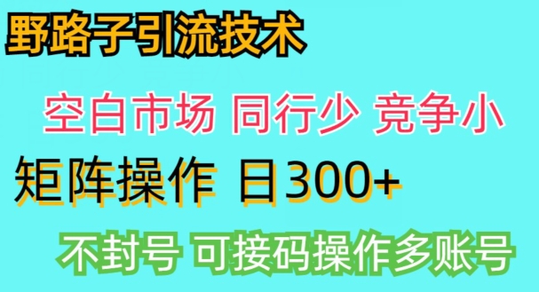 拼多多野路子引流创业粉实战教学，手动操作，用户转化率高|云雀资源分享