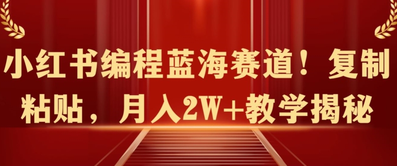 小红书编程蓝海赛道!复制粘贴，月入2W+教学揭秘|云雀资源分享