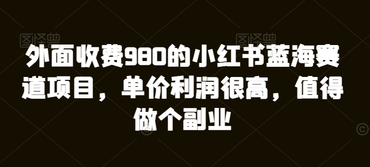 外面收费980的小红书蓝海赛道项目，单价利润很高，值得做个副业|云雀资源分享