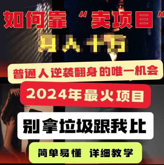 2024年最火项目，如何靠“卖项目”逆装翻身，简单易懂 详细教学 完整版5节课|云雀资源分享