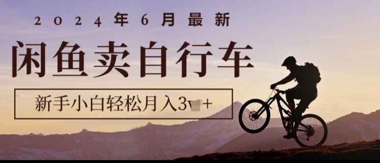 2024年6月最新闲鱼卖自行车，新手小白轻松月入1w+，无风险项目|云雀资源分享