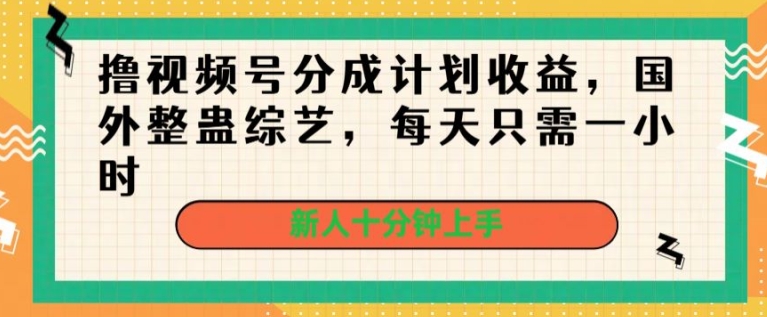 撸视频号分成计划收益，国外整蛊综艺，每天只需一小时，新人十分钟上手|云雀资源分享