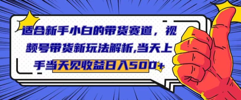 适合新手小白的带货赛道，视频号带货新玩法解析，当天上手当天见收益，日入500+|云雀资源分享