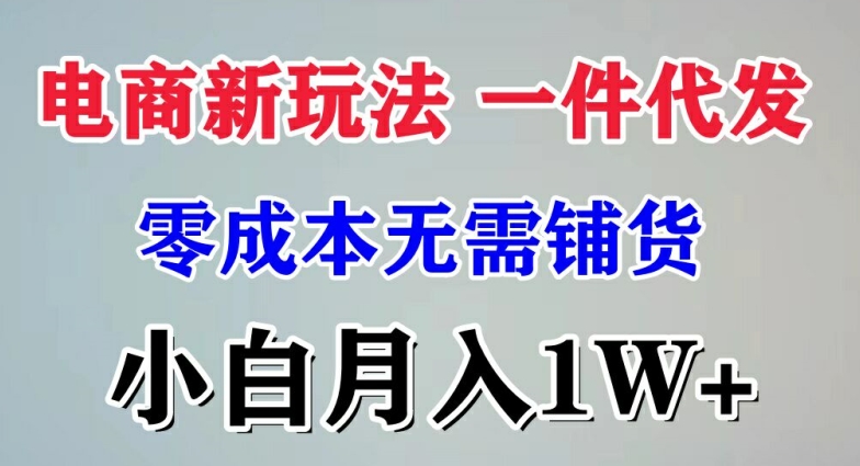 电商新玩法 一件代发,零成本无需铺货，小白月入1W+|云雀资源分享