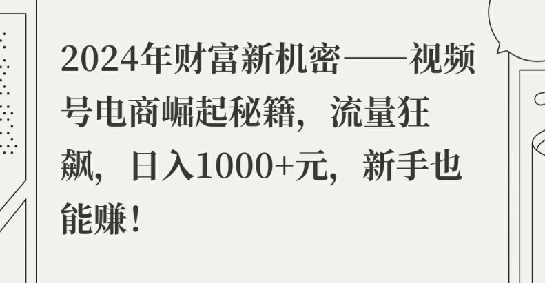 2024年财富新机密——视频号电商崛起秘籍，流量狂飙，日入1k元，新手也能赚|云雀资源分享