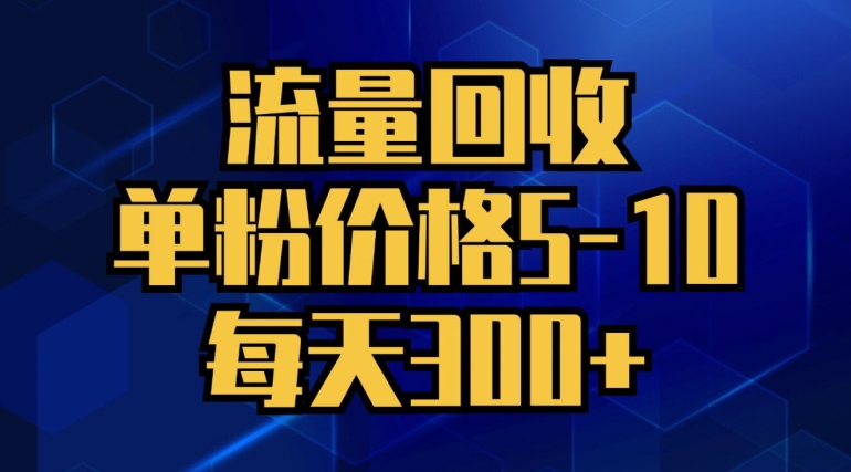 流量回收，单粉价格5-10，每天300+，轻松月入五位数|云雀资源分享