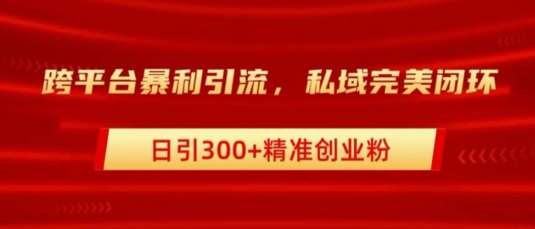 跨平台暴力引流，私域完美闭环，日引100+精准创业粉|云雀资源分享