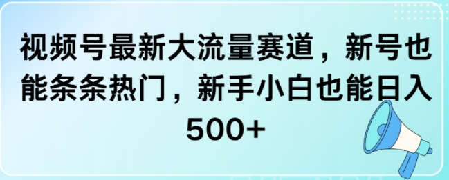 视频号最新大流量赛道，新号也能条条热门，新手小白也能日入5张|云雀资源分享