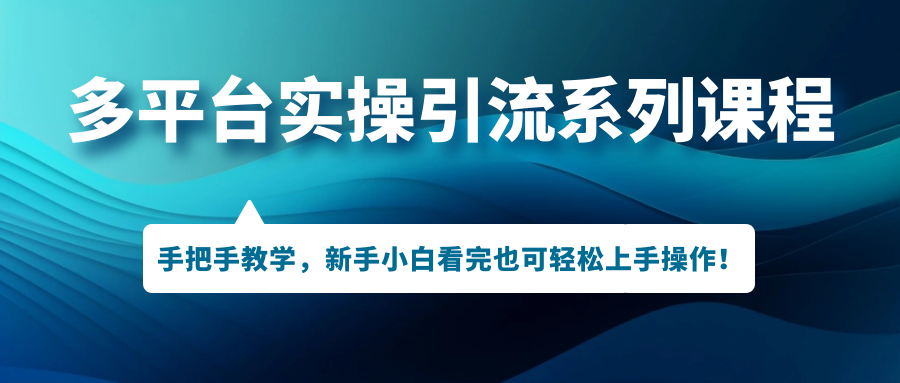 多平台实操引流系列课程，手把手教学，新手小白看完也可轻松上手引流操作！|云雀资源分享