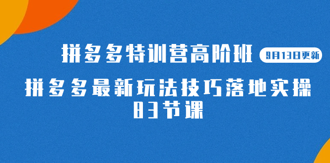 2023拼多多平台·夏令营高级班【9月13日升级】拼多多最新技巧攻略落地式实际操作-83节|云雀资源分享