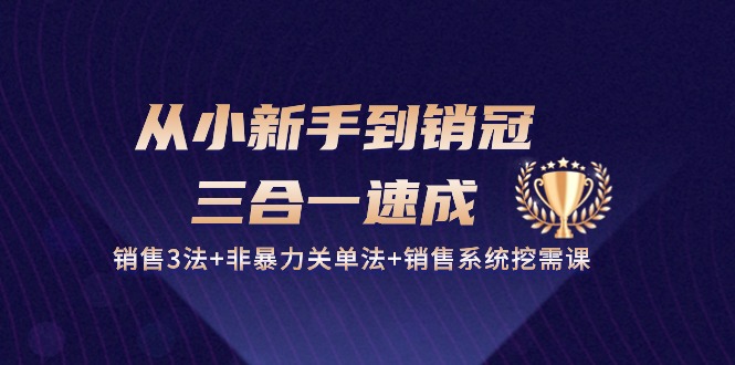 从小新手到销冠三合一速成：销售3法+非暴力关单法+销售系统挖需课 (27节)|云雀资源分享