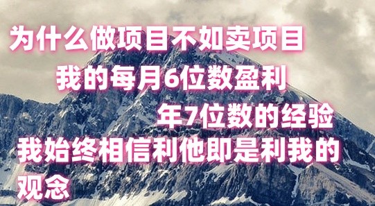 做项目不如卖项目，每月6位数盈利，年7位数经验|云雀资源分享