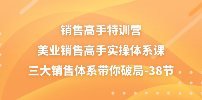 销售高手特训营，美业销售高手实操体系课，三大销售体系带你破局（38节）|云雀资源分享