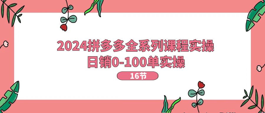 2024拼多多平台全主题课程实际操作，日销0-100单实际操作【16堂课】|云雀资源分享