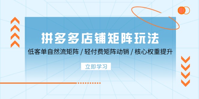 拼多多店铺矩阵玩法：低客单自然流矩阵 / 轻付费矩阵 动销 / 核心权重提升|云雀资源分享