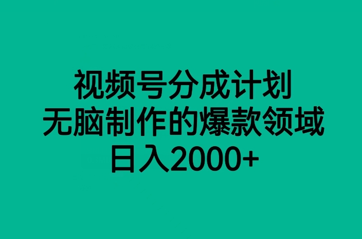 微信视频号分为方案，没脑子制做的爆款行业，日入2000|云雀资源分享