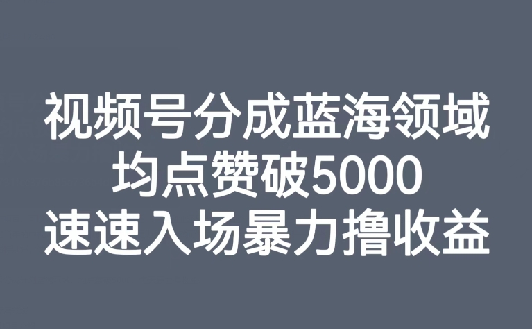 微信视频号分为蓝海领域，均关注点赞破5000，快速进场暴力行为撸盈利|云雀资源分享