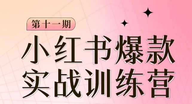 小红书博主爆品夏令营第11期，教你如何从0-1做小红书的，从查找到养号到转现|云雀资源分享