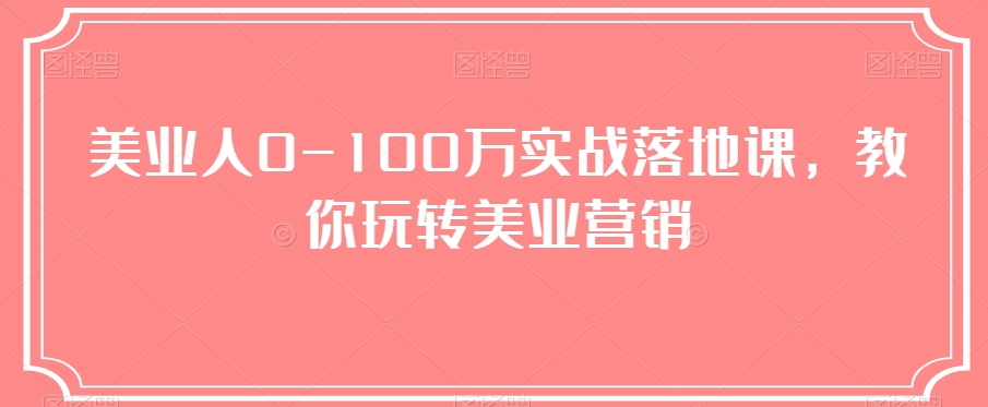 美业人0-100万实战落地课，教你玩转美业营销|云雀资源分享