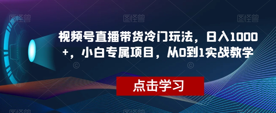 微信视频号直播卖货小众游戏玩法，日入1000 ，新手专享新项目，从0到1实战教学【揭密】|云雀资源分享