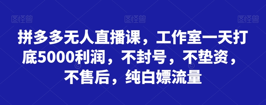 拼多多平台无人直播课，个人工作室一天内搭5000盈利，防封号，不垫付资金，不售后服务，纯白色嫖总流量|云雀资源分享