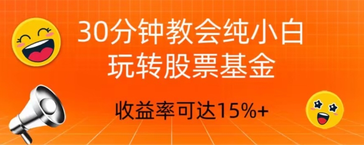 30min教会我们轻松玩股票型基金，只教好一点的挑选方式，不推荐股票|云雀资源分享