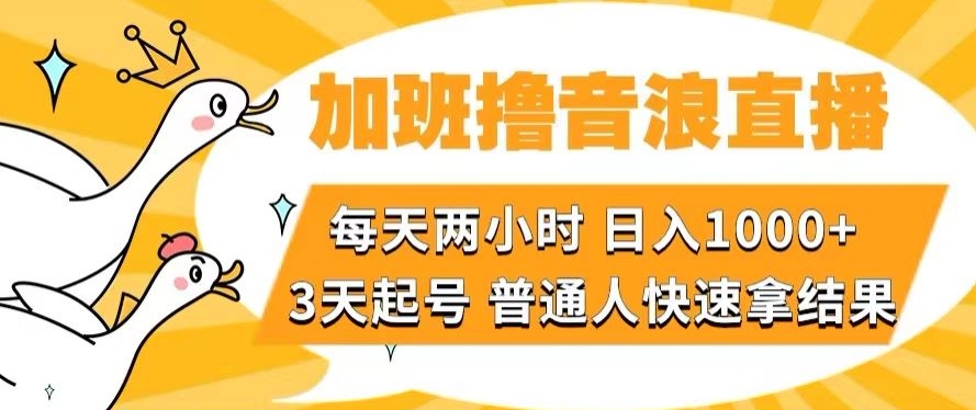 加班撸音浪直播，每天两小时，日入1000+，直播话术才3句，3天起号，普通人快速拿结果【揭秘】|云雀资源分享