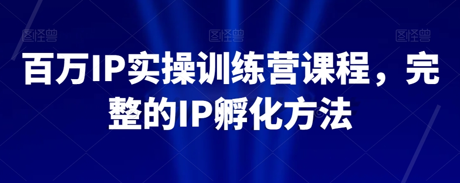 百万IP实操训练营课程，完整的IP孵化方法|云雀资源分享