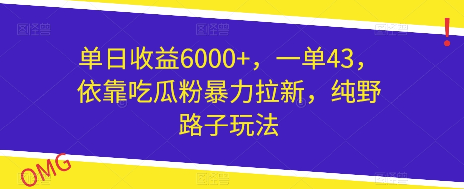 单日盈利6000 ，一单43，借助嗑瓜子粉暴力行为引流，纯歪门邪道游戏玩法|云雀资源分享