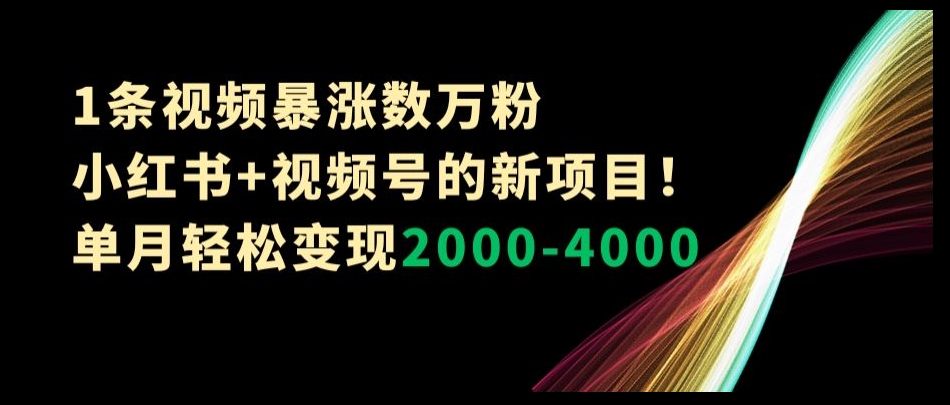 1条视频暴涨数万粉–小红书+视频号的新项目！单月轻松变现2000-4000【揭秘】|云雀资源分享