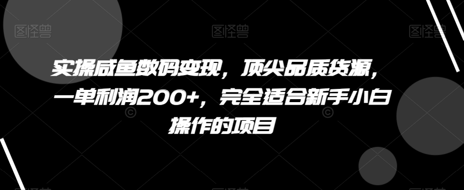 实操咸鱼数码变现，顶尖品质货源，一单利润200+，完全适合新手小白操作的项目【揭秘】|云雀资源分享