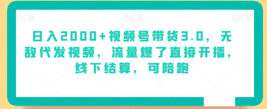 日入2000+视频号带货3.0，无敌代发视频，流量爆了直接开播，线下结算，可陪跑|云雀资源分享