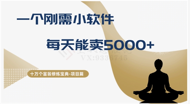 十万个富翁修炼宝典之17.一个刚需小软件，每天能卖5000+|云雀资源分享