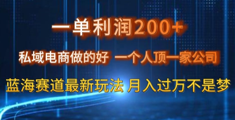 一单利润200私域电商做的好，一个人顶一家公司蓝海赛道最新玩法【揭秘】|云雀资源分享