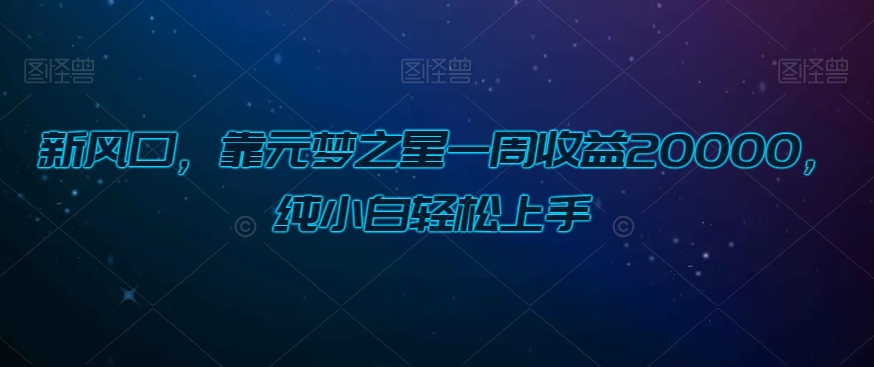 新风口，靠元梦之星一周收益20000，纯小白轻松上手|云雀资源分享