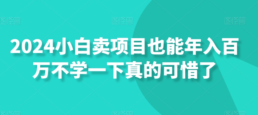 2024小白卖项目也能年入百万不学一下真的可惜了|云雀资源分享