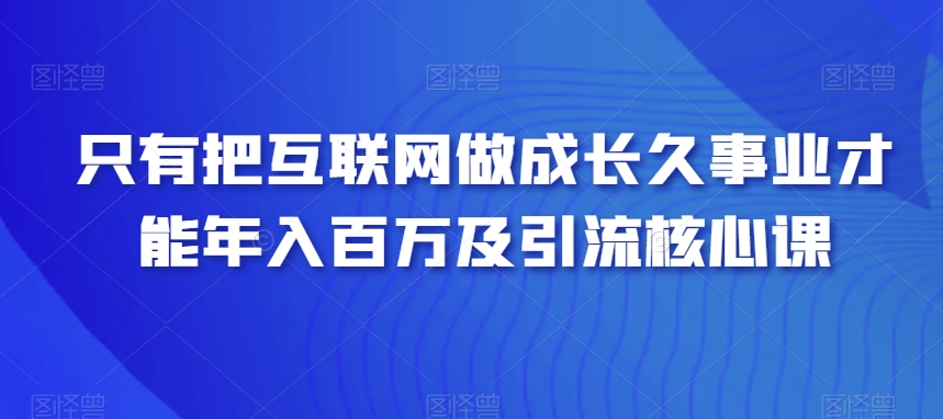 只有把互联网做成长久事业才能年入百万及引流核心课|云雀资源分享