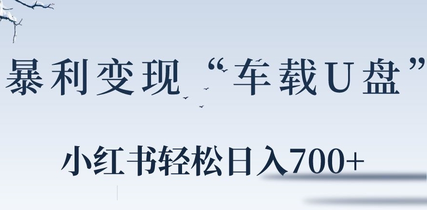 小红书“车载U盘”暴利引流，日入700+|云雀资源分享