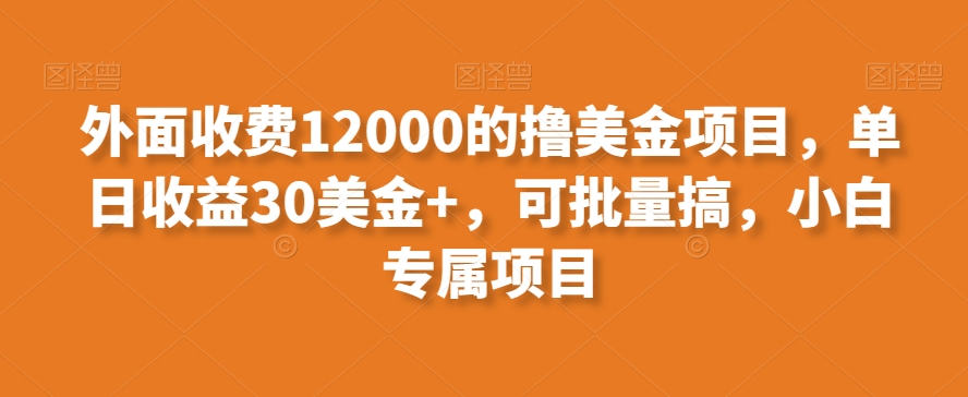 外面收费12000的撸美金项目，单日收益30美金+，可批量搞，小白专属项目|云雀资源分享